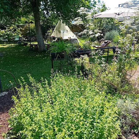 Indian Tent Tipi In Shared Lot And Shared Bathroom Mrse Exteriör bild